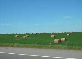 サスカチュワン